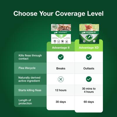 Show full view: Advantage II Flea Spot Treatment for Cats, over 9-lbs, 12 Doses (12-mos. supply) slide 7 of 9