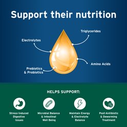 Advantage II Flea Spot Treatment for Cats, over 9-lbs, 2 Doses (2-mos. supply) + Pet Protect Endurosyn Probiotic Balance + Chicken & Fish Flavored Oral Gel for Cats, 15-g syringe slide 2 of 9