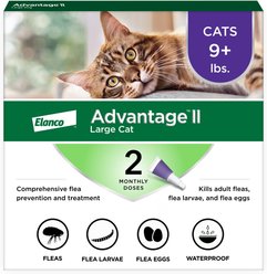 Advantage II Flea Spot Treatment for Cats, over 9 lbs, 2 Doses (2-mos. supply)