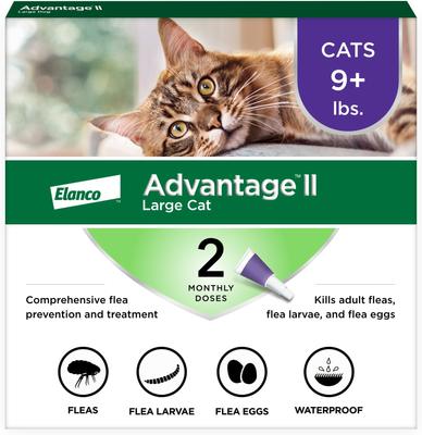 Show full view: Advantage II Flea Spot Treatment for Cats, over 9 lbs, 2 Doses (2-mos. supply) slide 1 of 10