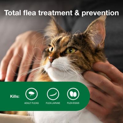 Show full view: Advantage II Flea Spot Treatment for Cats, over 9 lbs, 2 Doses (2-mos. supply) slide 4 of 10