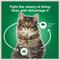 Show in main carousel: Advantage II Flea Spot Treatment for Cats, over 9 lbs, 2 Doses (2-mos. supply) slide 7 of 10