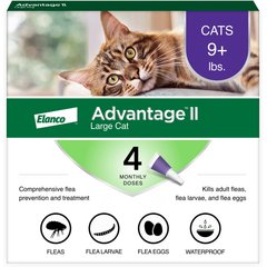 Advantage II Flea Spot Treatment for Cats, over 9 lbs, 4 Doses (4-mos. supply)