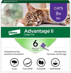 Advantage II Flea Spot Treatment for Cats, over 9 lbs, 6 Doses (6-mos. supply) slide 1 of 8