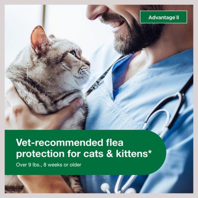 Show full view: Advantage II Flea Spot Treatment for Cats, over 9 lbs, 6 Doses (6-mos. supply) slide 5 of 10