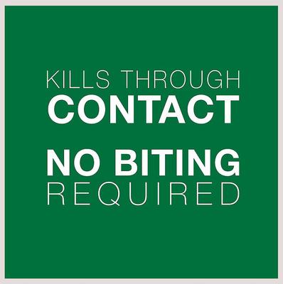 Show full view: Advantage II Flea Spot Treatment for Cats, over 9-lbs + Household Spot & Crevice Spray slide 5 of 9