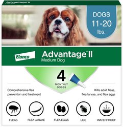 Advantage II Flea Spot Treatment for Dogs, 11-20 lbs, 4 Doses (4-mos. supply)