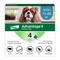 Show in main carousel: Advantage II Flea Spot Treatment for Dogs, 11-20 lbs, 4 Doses (4-mos. supply) slide 1 of 10