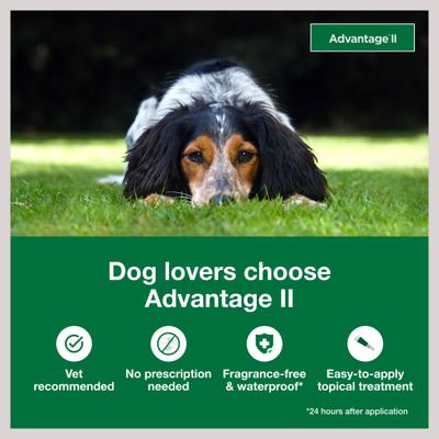 Show full view: Advantage II Flea Spot Treatment for Dogs, 11-20 lbs, 4 Doses (4-mos. supply) slide 3 of 10