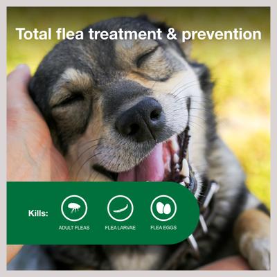 Show full view: Advantage II Flea Spot Treatment for Dogs, 11-20 lbs, 4 Doses (4-mos. supply) slide 4 of 10
