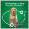 Show in main carousel: Advantage II Flea Spot Treatment for Dogs, 11-20 lbs, 4 Doses (4-mos. supply) slide 7 of 10