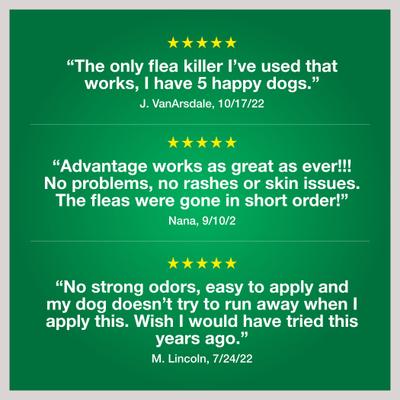Show full view: Advantage II Flea Spot Treatment for Dogs, 11-20 lbs, 6 Doses (6-mos. supply) slide 8 of 10