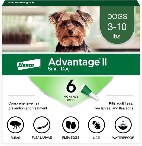 Advantage II Flea Spot Treatment for Dogs, 3-10 lbs Advantage II Flea Spot Treatment for Dogs, 3-10 lbs