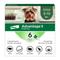 Show in main carousel: Advantage II Flea Spot Treatment for Dogs, 3-10 lbs, 6 Doses (6-mos. supply) slide 1 of 10