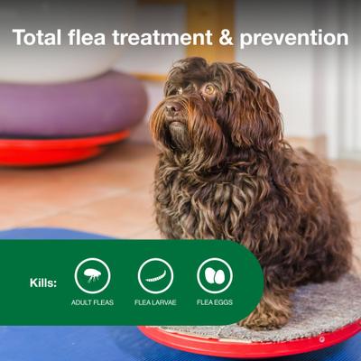 Show full view: Advantage II Flea Spot Treatment for Dogs, 3-10 lbs, 6 Doses (6-mos. supply) slide 4 of 10