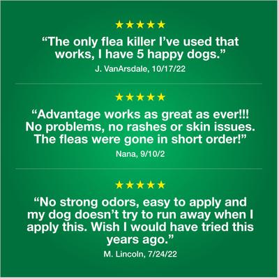 Show full view: Advantage II Flea Spot Treatment for Dogs, over 55 lbs, 4 Doses (4-mos. supply) slide 8 of 10