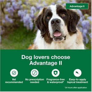 Advantage II Flea Spot Treatment for Dogs, over 55 lbs, 6 Doses (6-mos. supply)