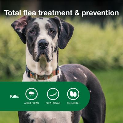 Show full view: Advantage II Flea Spot Treatment for Dogs, over 55 lbs, 6 Doses (6-mos. supply) slide 4 of 10