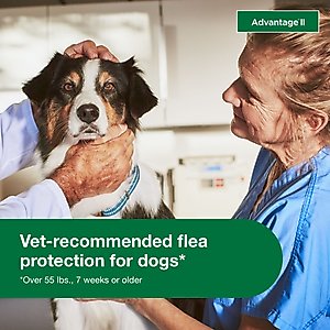 Advantage II Flea Spot Treatment for Dogs, over 55 lbs, 6 Doses (6-mos. supply)