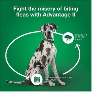 Advantage II Flea Spot Treatment for Dogs, over 55 lbs, 6 Doses (6-mos. supply)