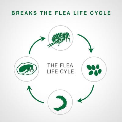 Show full view: Advantage II Flea Spot Treatment, over 9-lbs + Elanco Tapeworm Cat De-Wormer slide 4 of 9