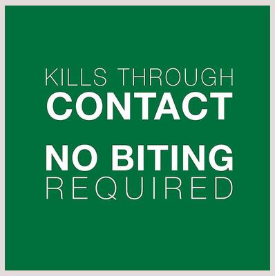 Show full view: Advantage II Flea Spot Treatment, over 9-lbs + Elanco Tapeworm Cat De-Wormer slide 5 of 9