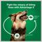 Show in main carousel: Advantage II Flea Treatment for Dogs, 21-55 lbs, 4 Doses (4-mos. supply) slide 7 of 10