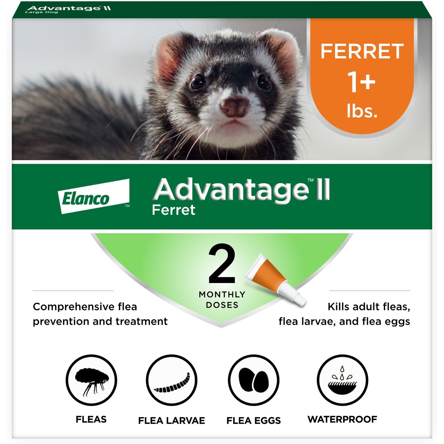 Ferret Guinea Pig Flea Treatment ADVANTAGE II Flea Treatment For
