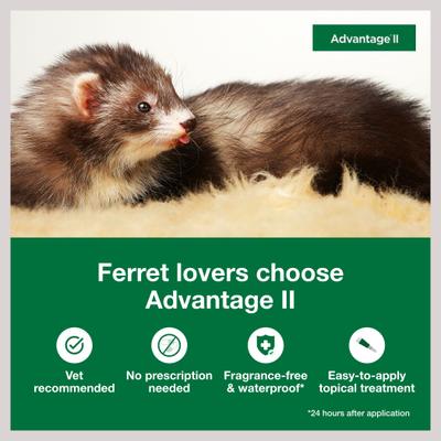 Show full view: Advantage II Flea Treatment for Ferrets slide 2 of 8