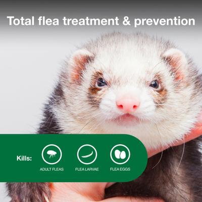 Show full view: Advantage II Flea Treatment for Ferrets slide 3 of 8
