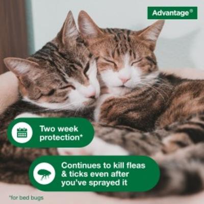 Show full view: Advantage II Topical & Home & Yard Flea & Tick Spray for Cats + Household Spot & Crevice Spray slide 5 of 7