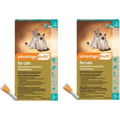 Advantage Multi Topical Solution for Cats, 2-5 lbs (Turquoise Box), 6 Doses (6-mos. supply)