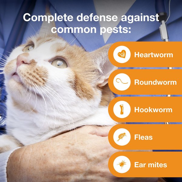 Show full view: Advantage Multi Topical Solution for Cats, 9.1-18 lbs, (Purple Box), 6 Doses (6-mos. supply) slide 4 of 11