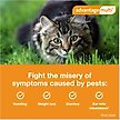 Show in main carousel: Advantage Multi Topical Solution for Cats, 9.1-18 lbs, (Purple Box), 6 Doses (6-mos. supply) slide 5 of 11