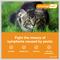Show in main carousel: Advantage Multi Topical Solution for Cats & Ferrets, 5.1-9 lbs (Orange Box), 6 Doses (6-mos. supply) slide 5 of 11