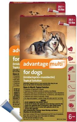 Show full view: Advantage Multi Topical Solution for Dogs, 20.1-55 lbs, (Red Box), 12 Doses (12-mos. supply) slide 1 of 9