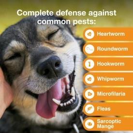 Show full view: Advantage Multi Topical Solution for Dogs, 20.1-55 lbs, (Red Box), 12 Doses (12-mos. supply) slide 3 of 9