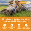 Show in main carousel: Advantage Multi Topical Solution for Dogs, 20.1-55 lbs, (Red Box), 6 Doses (6-mos. supply) slide 2 of 11