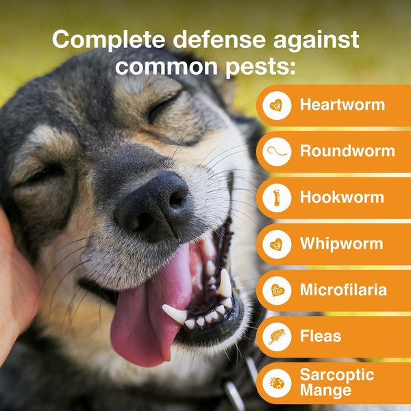 Show full view: Advantage Multi Topical Solution for Dogs, 20.1-55 lbs, (Red Box), 6 Doses (6-mos. supply) slide 3 of 11