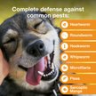 Show in main carousel: Advantage Multi Topical Solution for Dogs, 20.1-55 lbs, (Red Box), 6 Doses (6-mos. supply) slide 3 of 11