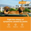 Show in main carousel: Advantage Multi Topical Solution for Dogs, 20.1-55 lbs, (Red Box), 6 Doses (6-mos. supply) slide 4 of 11