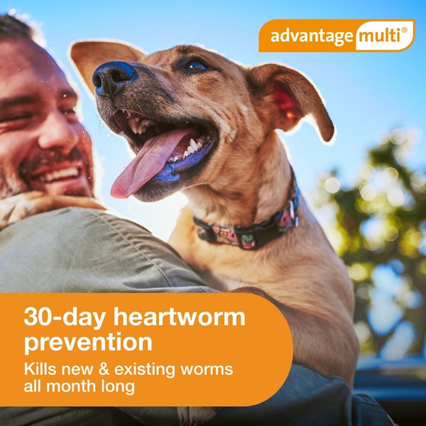 Show full view: Advantage Multi Topical Solution for Dogs, 20.1-55 lbs, (Red Box), 6 Doses (6-mos. supply) slide 5 of 11