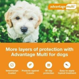Show full view: Advantage Multi Topical Solution for Dogs, 3-9 lbs, (Green Box), 12 Doses (12-mos. supply) slide 3 of 10