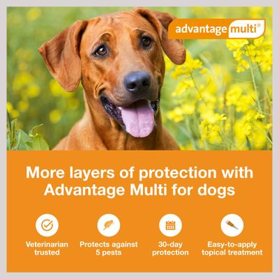 Show full view: Advantage Multi Topical Solution for Dogs, 55.1-88 lbs, (Blue Box), 6 Doses (6-mos. supply) slide 3 of 11