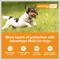 Show in main carousel: Advantage Multi Topical Solution for Dogs, 9.1-20 lbs, (Teal Box), 6 Doses (6-mos. supply) slide 3 of 11