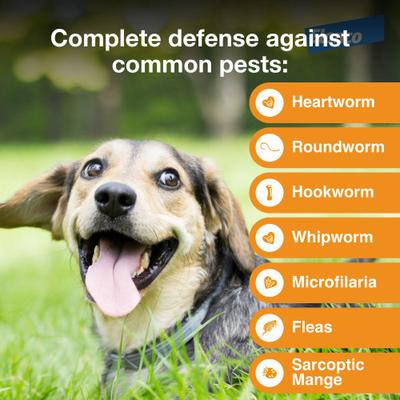 Show full view: Advantage Multi Topical Solution for Dogs, 9.1-20 lbs, (Teal Box), 6 Doses (6-mos. supply) slide 4 of 11