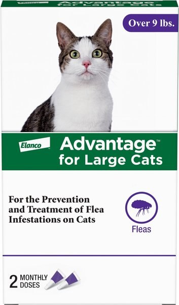 active ingredients advantage for cats walmart Active Ingredients Advantage For Cats Walmart ADVANTAGE Topical Flea  Prevention For Large Cats, Lbs+,