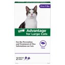 Advantage Topical Flea Prevention for Large Cats, 9 lbs+, 2-Monthly Treatments