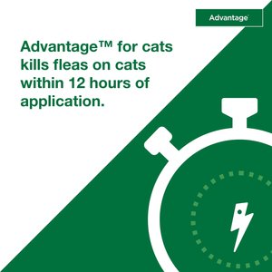 Advantage Topical Flea Prevention for Large Cats, 9 lbs+, 2-Monthly Treatments