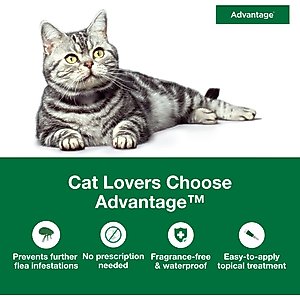 Advantage Topical Flea Prevention for Large Cats, 9 lbs+, 2-Monthly Treatments